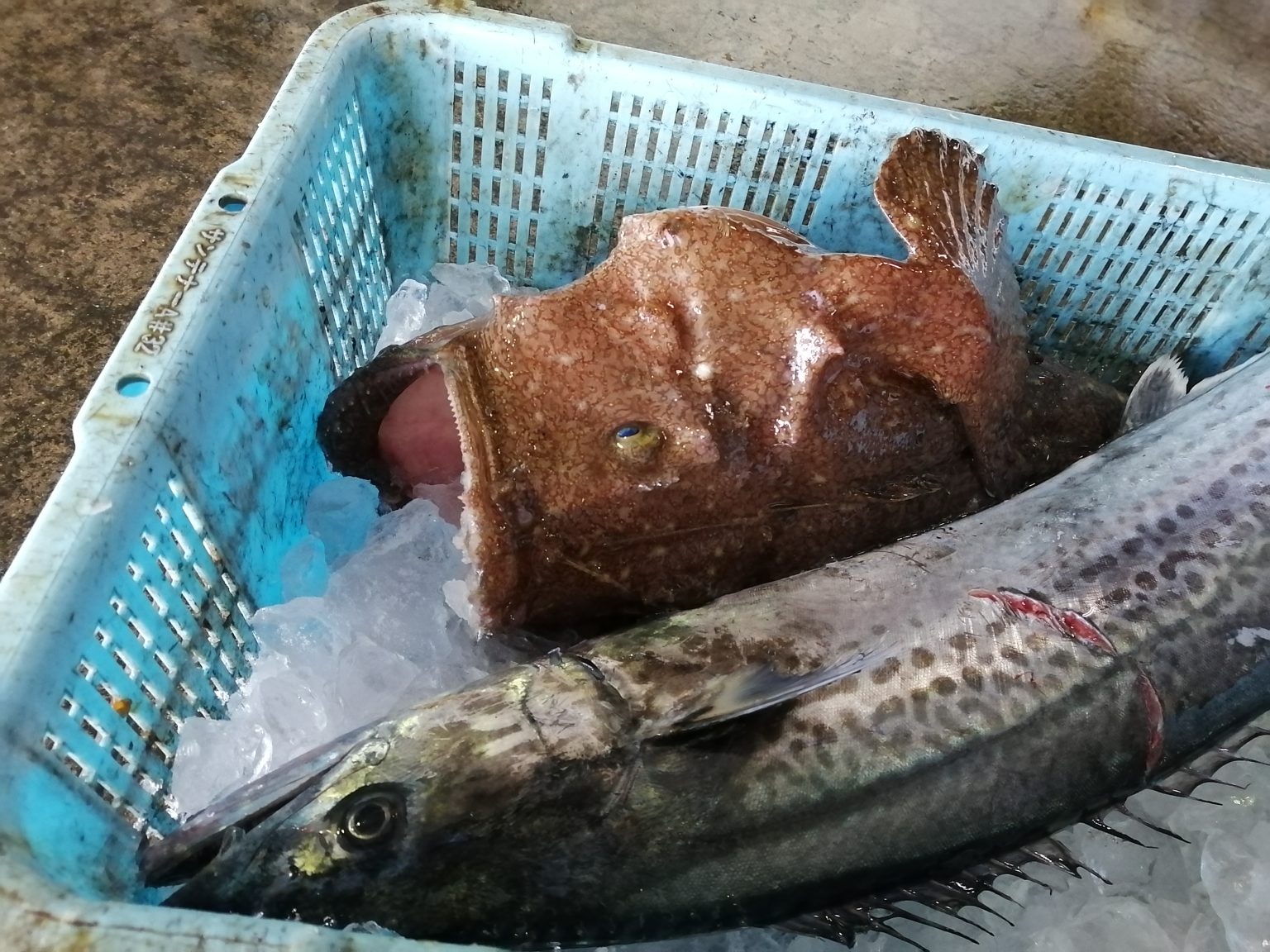 伊根の浜売り / Ine no Hamauri (Fishing Port Market)